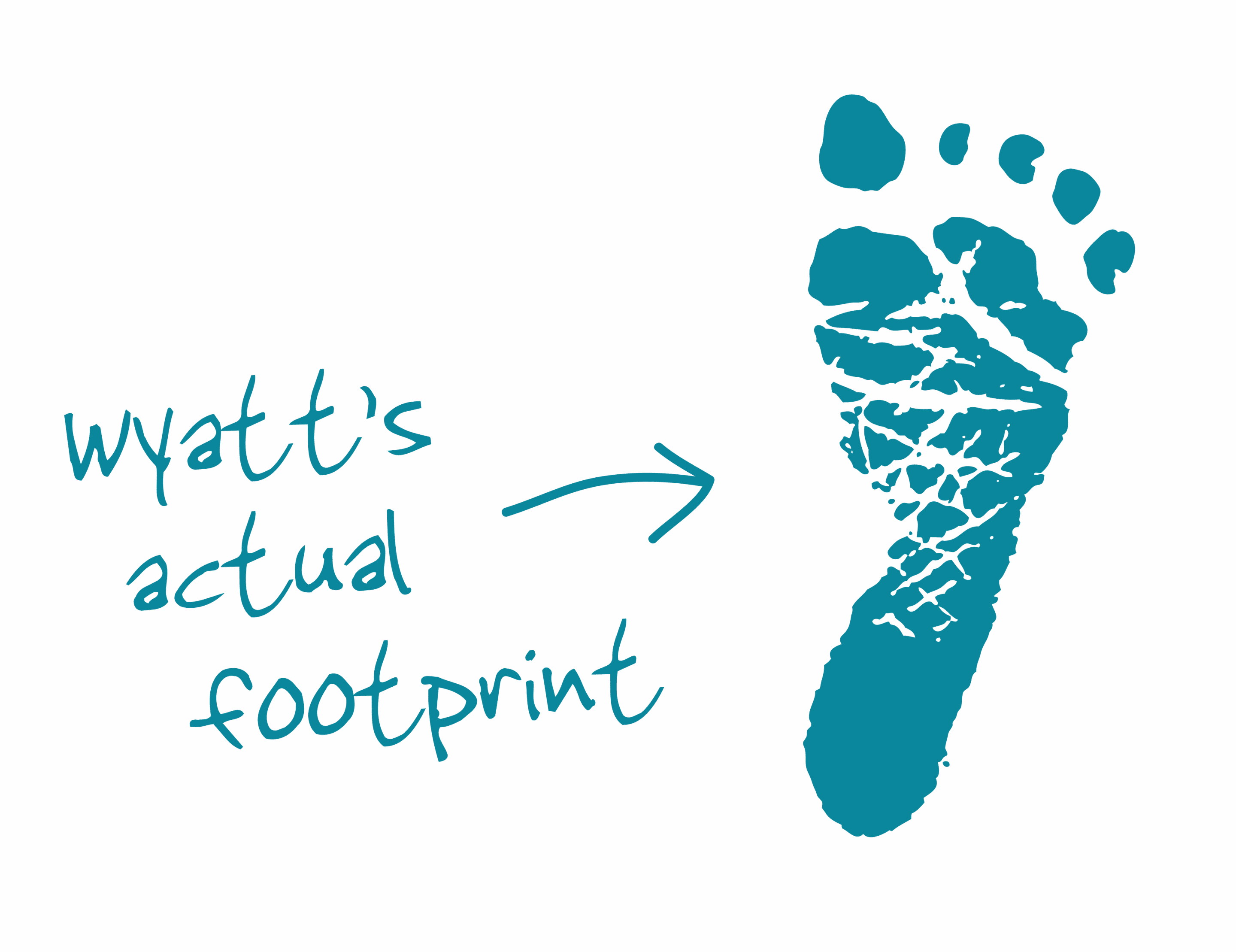 wyatt footprint